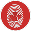 CanadaAI logo
